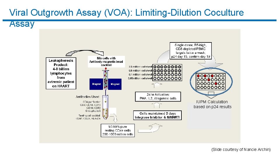 Viral Outgrowth Assay (VOA): Limiting-Dilution Coculture Assay IUPM Calculation based on p 24 results