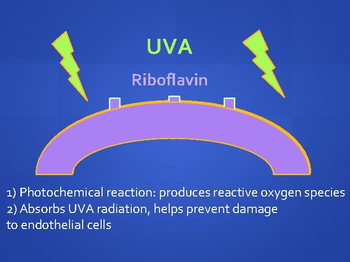 UVA Riboflavin 1) Photochemical reaction: produces reactive oxygen species 2) Absorbs UVA radiation, helps