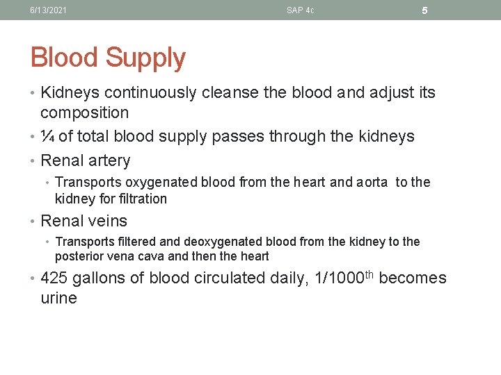 6/13/2021 SAP 4 c 5 Blood Supply • Kidneys continuously cleanse the blood and