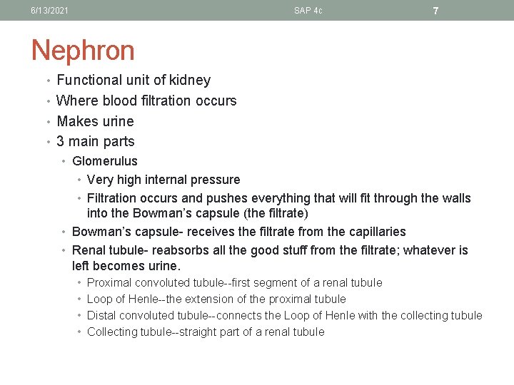6/13/2021 SAP 4 c 7 Nephron • Functional unit of kidney • Where blood