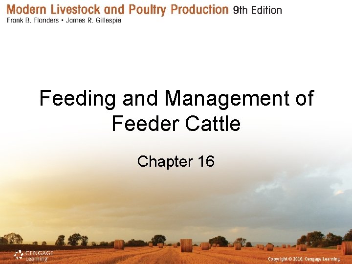 Feeding and Management of Feeder Cattle Chapter 16 