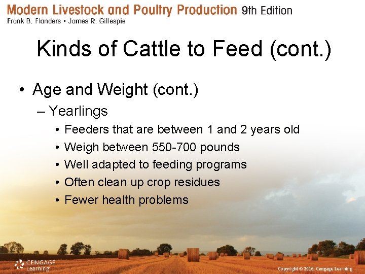 Kinds of Cattle to Feed (cont. ) • Age and Weight (cont. ) –