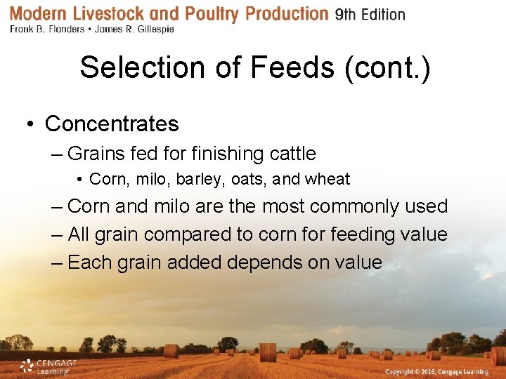 Selection of Feeds (cont. ) • Concentrates – Grains fed for finishing cattle •