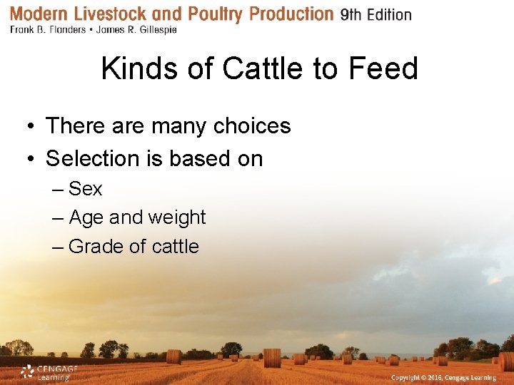 Kinds of Cattle to Feed • There are many choices • Selection is based