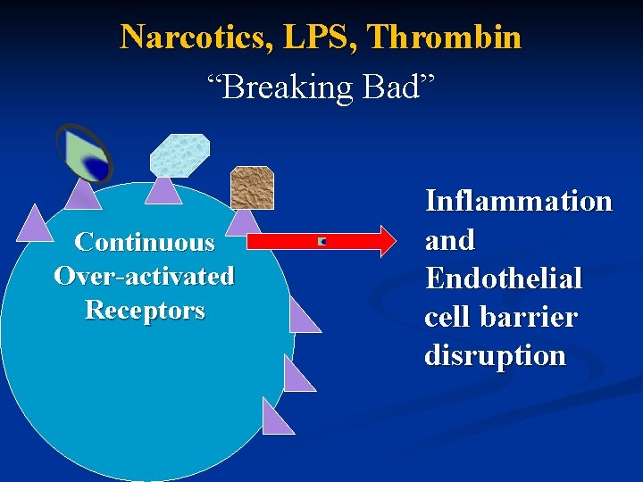 Narcotics, LPS, Thrombin “Breaking Bad” Continuous Over-activated Receptors Inflammation and Endothelial cell barrier disruption