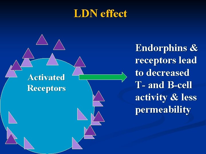 LDN effect Activated Receptors Endorphins & receptors lead to decreased T- and B-cell activity