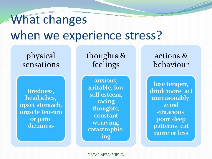 What changes when we experience stress? physical sensations thoughts & feelings actions & behaviour