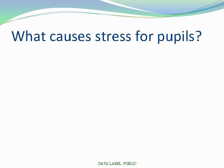 What causes stress for pupils? DATA LABEL: PUBLIC 