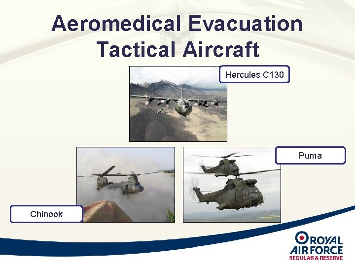 Aeromedical Evacuation Tactical Aircraft Hercules C 130 Puma Chinook Aeromedical Evacuation Tactical Aircraft Hercules C 130 Puma Chinook