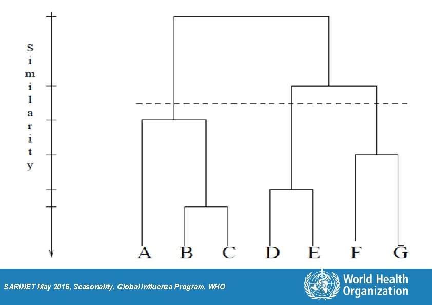 SARINET May 2016, Seasonality, Global Influenza Program, WHO 