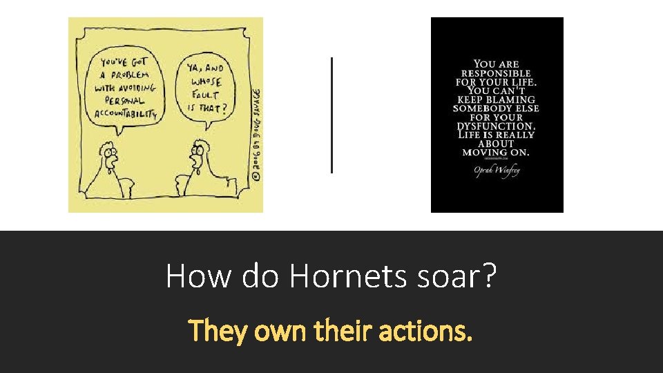 How do Hornets soar? They own their actions. 