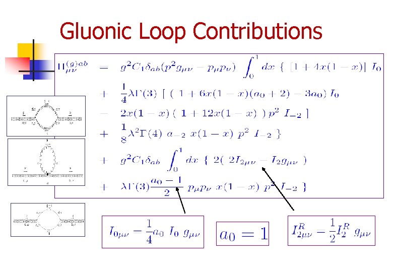 Gluonic Loop Contributions 