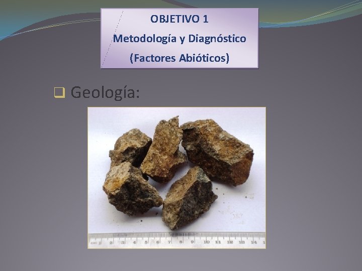 OBJETIVO 1 Metodología y Diagnóstico (Factores Abióticos) q Geología: 