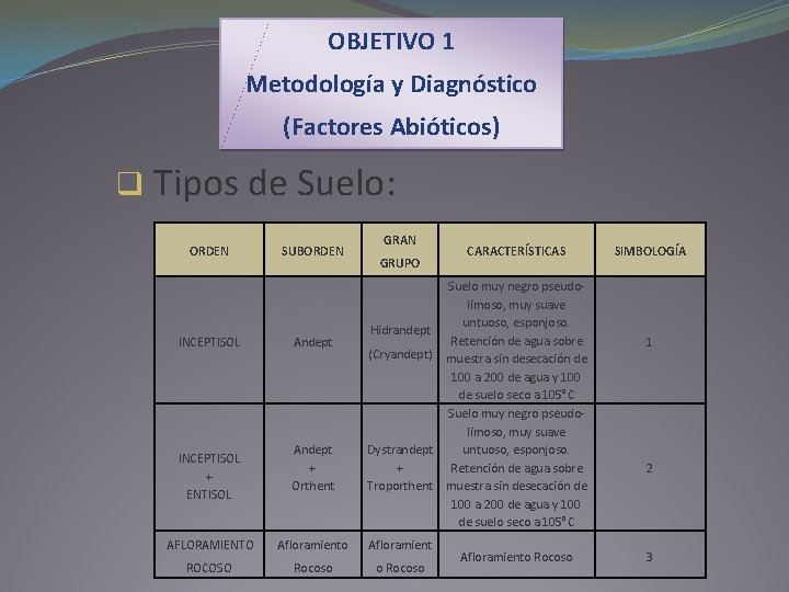 OBJETIVO 1 Metodología y Diagnóstico (Factores Abióticos) q Tipos de Suelo: ORDEN INCEPTISOL +