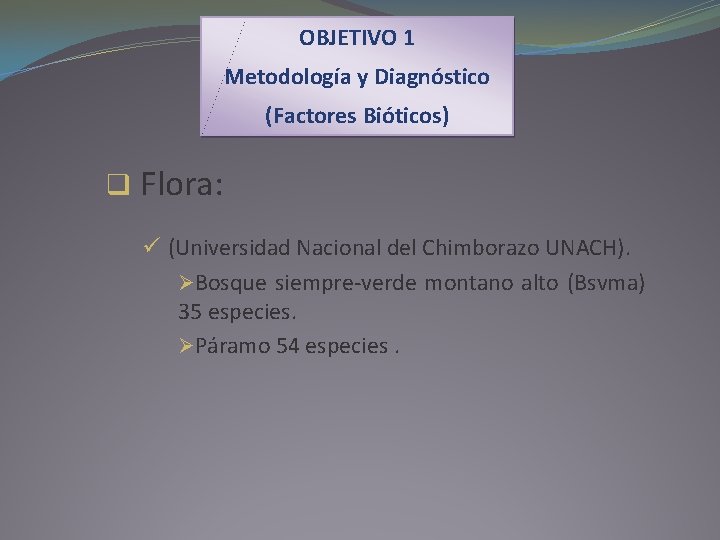 OBJETIVO 1 Metodología y Diagnóstico (Factores Bióticos) q Flora: ü (Universidad Nacional del Chimborazo