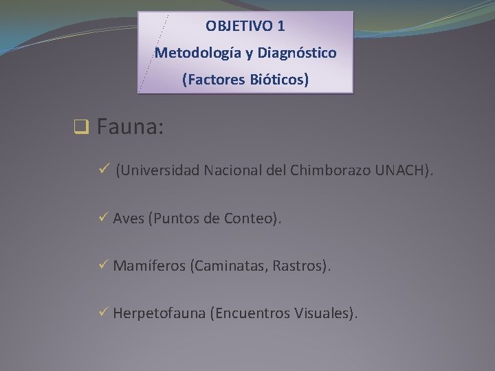 OBJETIVO 1 Metodología y Diagnóstico (Factores Bióticos) q Fauna: ü (Universidad Nacional del Chimborazo