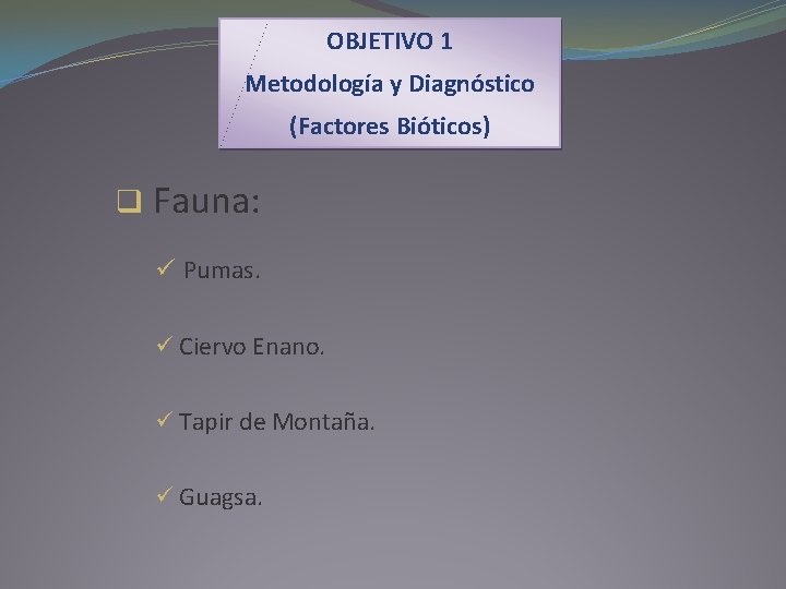 OBJETIVO 1 Metodología y Diagnóstico (Factores Bióticos) q Fauna: ü Pumas. ü Ciervo Enano.