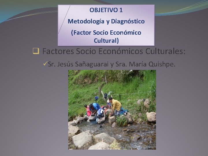 OBJETIVO 1 Metodología y Diagnóstico (Factor Socio Económico Cultural) q Factores Socio Económicos Culturales: