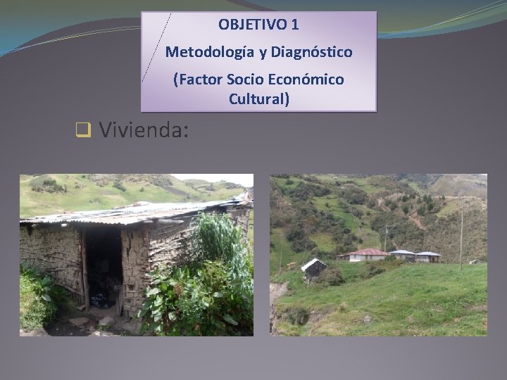 OBJETIVO 1 Metodología y Diagnóstico (Factor Socio Económico Cultural) q Vivienda: 