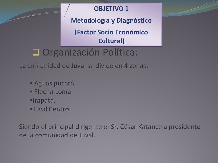 OBJETIVO 1 Metodología y Diagnóstico (Factor Socio Económico Cultural) q Organización Política: La comunidad