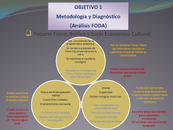 OBJETIVO 1 Metodología y Diagnóstico q (Análisis FODA) Recurso Físico, Biótico y Socio Económico