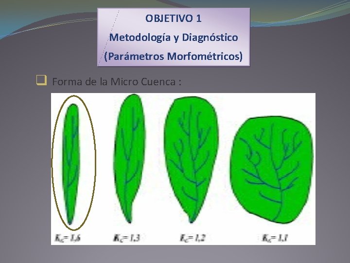 OBJETIVO 1 Metodología y Diagnóstico (Parámetros Morfométricos) q Forma de la Micro Cuenca :