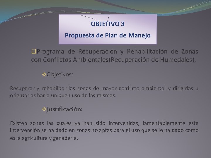 OBJETIVO 3 Propuesta de Plan de Manejo q. Programa de Recuperación y Rehabilitación de