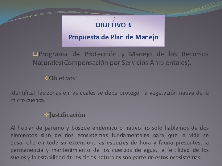 OBJETIVO 3 Propuesta de Plan de Manejo q. Programa de Protección y Manejo de