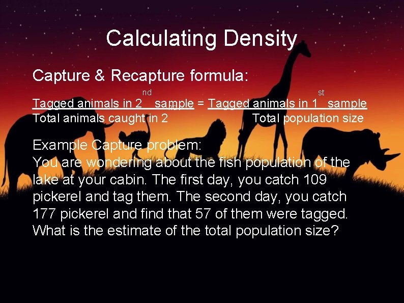 Calculating Density Capture & Recapture formula: nd st Tagged animals in 2 sample =