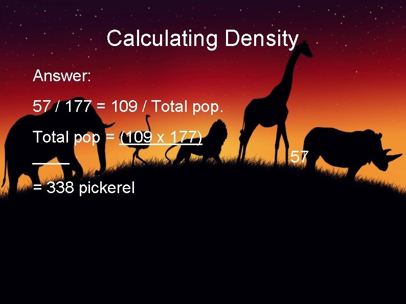Calculating Density Answer: 57 / 177 = 109 / Total pop = (109 x