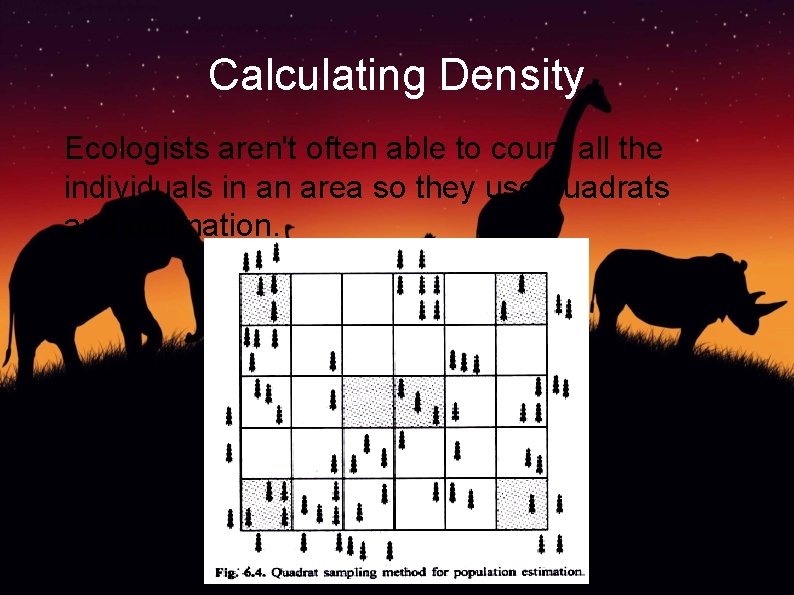 Calculating Density Ecologists aren't often able to count all the individuals in an area