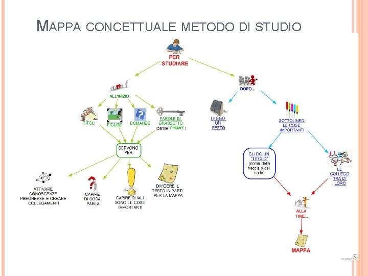 MAPPA CONCETTUALE METODO DI STUDIO 
