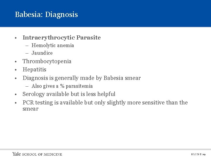 Babesia: Diagnosis • Intraerythrocytic Parasite – Hemolytic anemia – Jaundice • Thrombocytopenia • Hepatitis