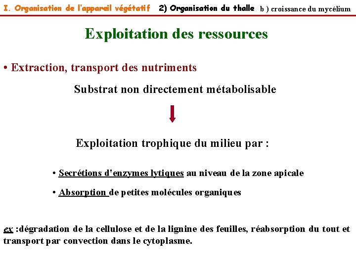 I. Organisation de l’appareil végétatif 2) Organisation du thalle b ) croissance du mycélium