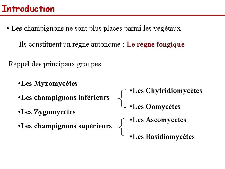 Introduction • Les champignons ne sont plus placés parmi les végétaux Ils constituent un