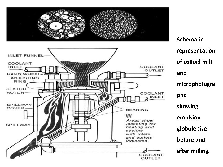 Schematic representation of colloid mill and microphotogra phs showing emulsion globule size before and