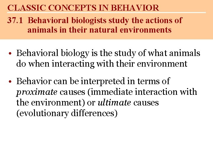 CLASSIC CONCEPTS IN BEHAVIOR 37. 1 Behavioral biologists study the actions of animals in