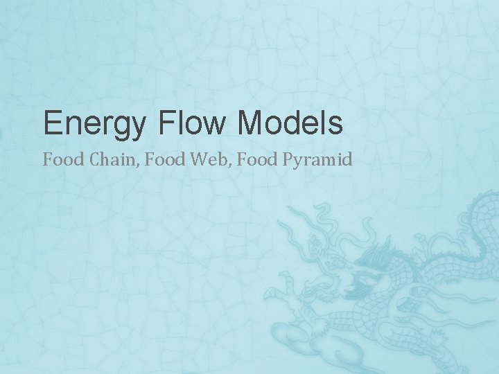 Energy Flow Models Food Chain, Food Web, Food Pyramid 