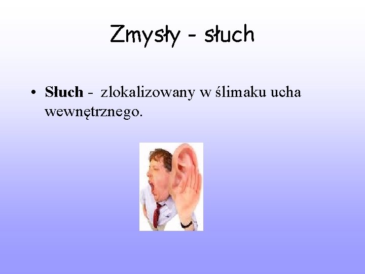 Zmysły - słuch • Słuch - zlokalizowany w ślimaku ucha wewnętrznego. 