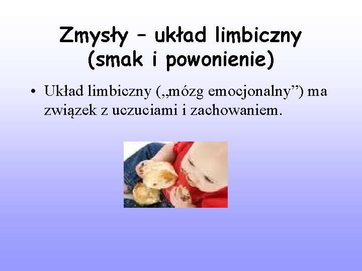 Zmysły – układ limbiczny (smak i powonienie) • Układ limbiczny („mózg emocjonalny”) ma związek