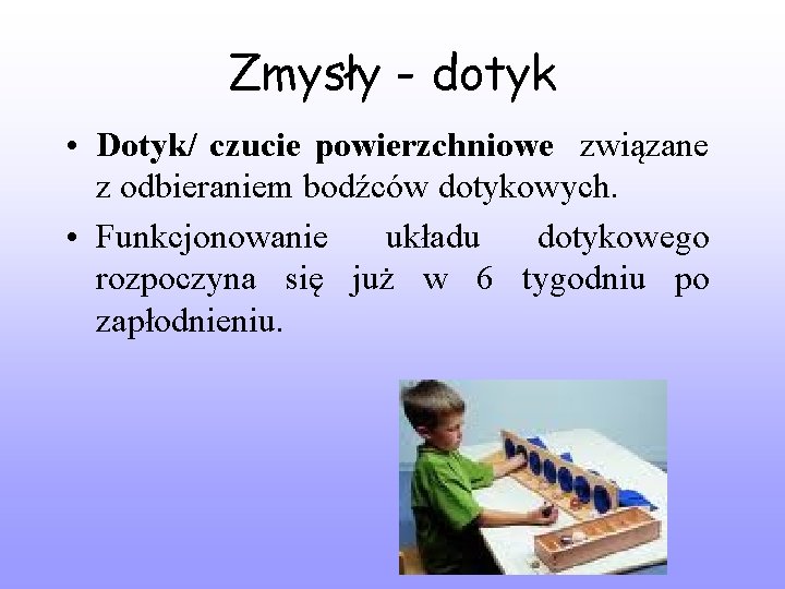 Zmysły - dotyk • Dotyk/ czucie powierzchniowe związane z odbieraniem bodźców dotykowych. • Funkcjonowanie