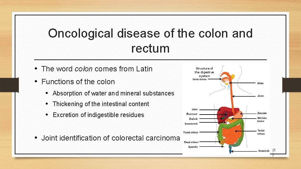 Oncological disease of the colon and rectum • The word colon comes from Latin