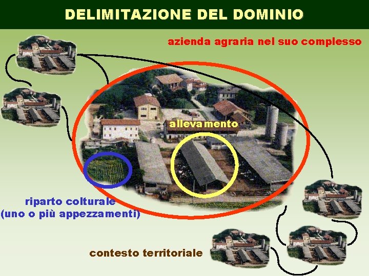 DELIMITAZIONE DEL DOMINIO azienda agraria nel suo complesso allevamento riparto colturale (uno o più