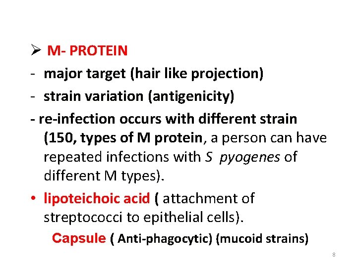 Ø M- PROTEIN - major target (hair like projection) - strain variation (antigenicity) -