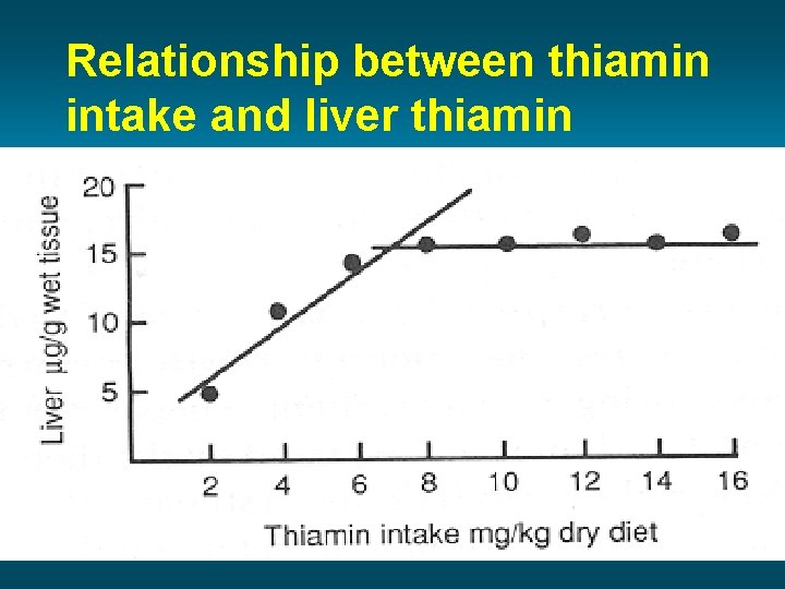 Relationship between thiamin intake and liver thiamin concentration 