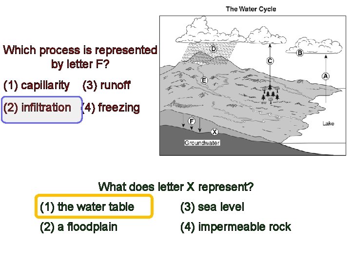 Which process is represented by letter F? (1) capillarity (3) runoff (2) infiltration (4)