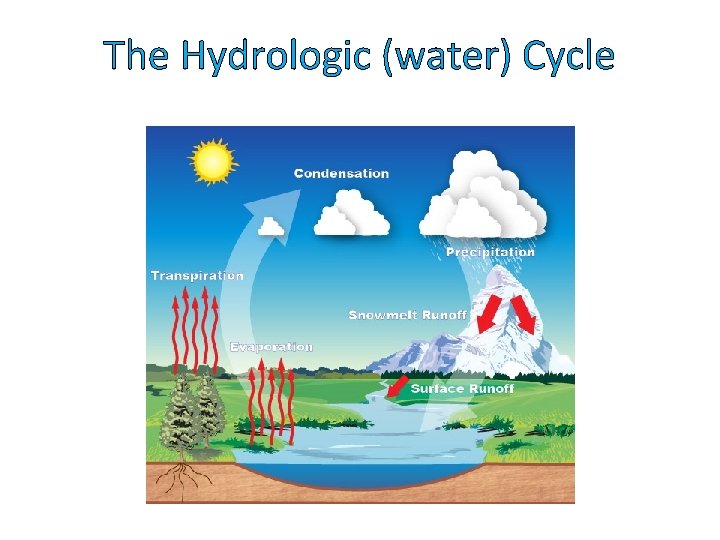The Hydrologic (water) Cycle 