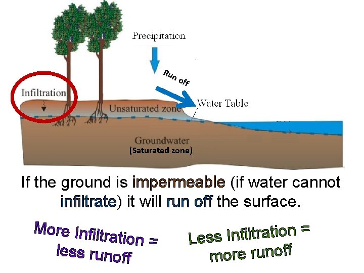 Run off (Saturated zone) If the ground is impermeable (if water cannot infiltrate) it