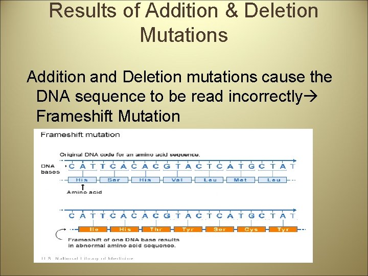 Results of Addition & Deletion Mutations Addition and Deletion mutations cause the DNA sequence