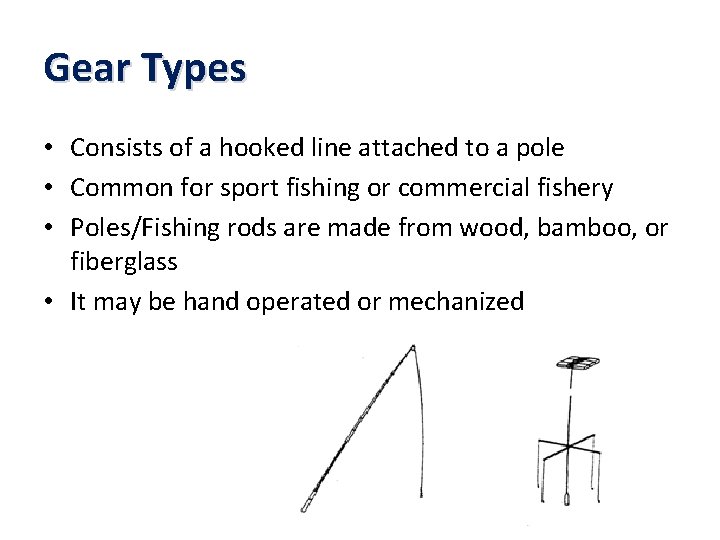 Gear Types • Consists of a hooked line attached to a pole • Common